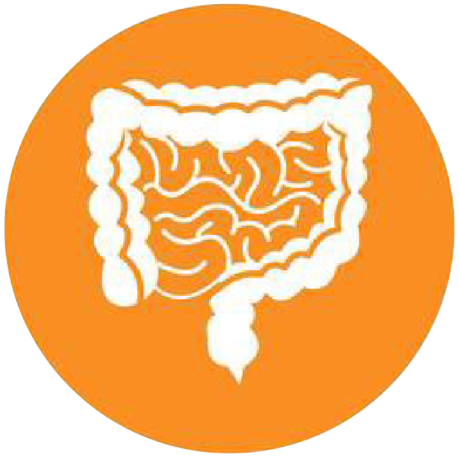 關(guān)注職場“腸”態(tài)，守護(hù)員工健康——上海格瑞特特邀消化內(nèi)科專家公益系列講座（4）(圖4)